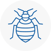 Bed Bug Extermination In Horley