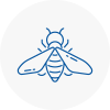 Bee Nest Removal Horley