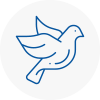 Bird Prevention Horley