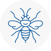 Horley Hornet Nest Removals