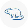 Rat Control Horley