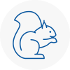 Horley Rodent Removals