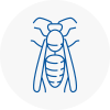 Horley Wasp Nest Removal